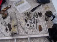 our finds.webp