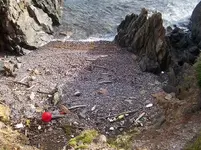 the only place to get ashore.webp
