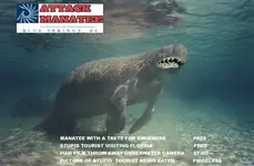 attackmanatee.webp