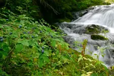 odell2 075_RJ.webp