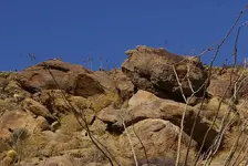 FaceRock1.webp