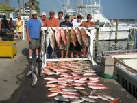 deep Sea Trip5.webp
