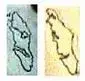 vinland.webp