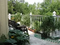 Deck Garden.webp
