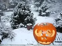 SnowPumpkin.webp