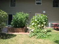 sandbox garden.webp