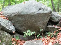 rock3.webp