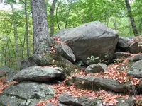rock4.webp