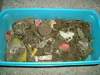 DSCF0014.webp