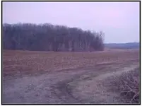 VanNoy cabin site Wooded hill site of buried gold.webp