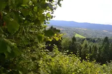 rozne zdjecia 344.webp