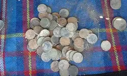 20141117_121407.webp
