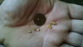 Nokta gold 1.webp