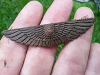 wings3.webp wings3.webp