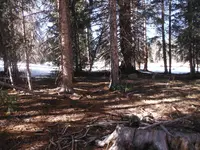 DSCF1302.webp