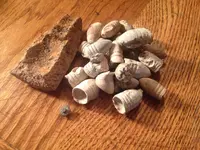 october 2014 relics.webp