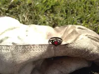 image-1648319282.webp