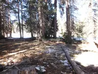 DSCF1305.webp