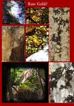 Gold ores.webp