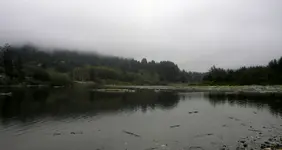 DSCN5223.webp