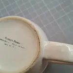 silver porcilin test.webp