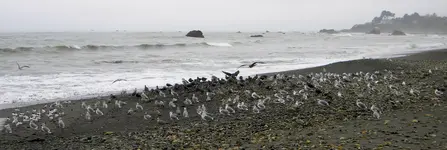 DSCN5226.webp