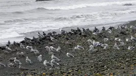 DSCN5232.webp