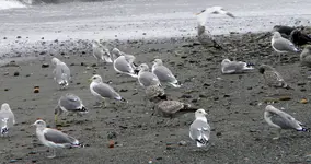 DSCN5234.webp