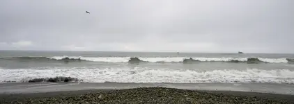 DSCN5239.webp