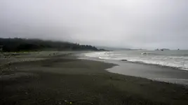 DSCN5248.webp