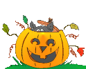 animated-cat-image-0046.gif