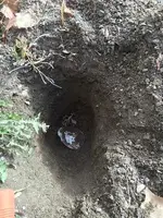 unnamed (17).webp