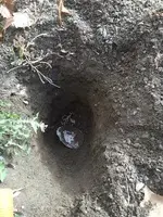 unnamed (16).webp
