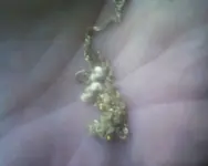 dryer 14k necklace.webp