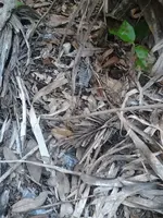 ForumRunner_20141011_162220.webp