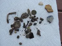 DSCN1957.webp