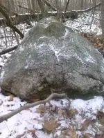10806451_919609658057444_2545233190062043081_n quartz8.webp