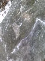 10675783_919609714724105_3204215582270810437_n quartz9.webp
