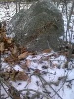 1383139_919609554724121_2167096463717136780_n quartz14.webp