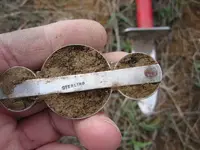Park Finds 10-25-14 002.webp