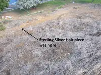 Park Finds 10-25-14 007.webp