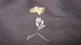 Ring # 17 and A Little More Silver Oct. 11 2014 001.webp