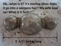 Park Finds 10-25-14 016.webp