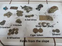 Park Finds 10-25-14 021.webp
