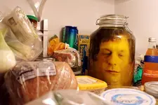F2FZTBXHSRZJ0GS.LARGE_.webp