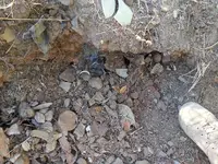 20141011_164049.webp