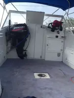 image-3322800941.webp image-3322800941.webp