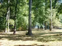 DSCF0005.webp