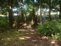 DSCF0007.webp
