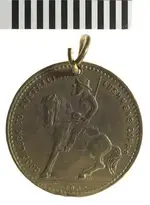 boer 1.webp